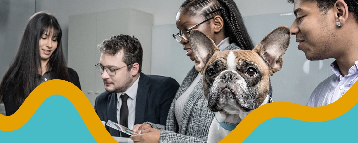 Bankkaufmann/-frau (m/w/d) für unsere Filiale in Chemnitz - Ausbildungsstart 01.09.2026, 1. Bild